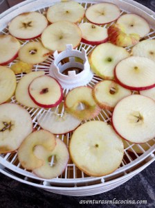 Deshidratador de comida