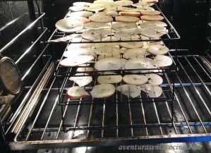 Deshidratando en el horno