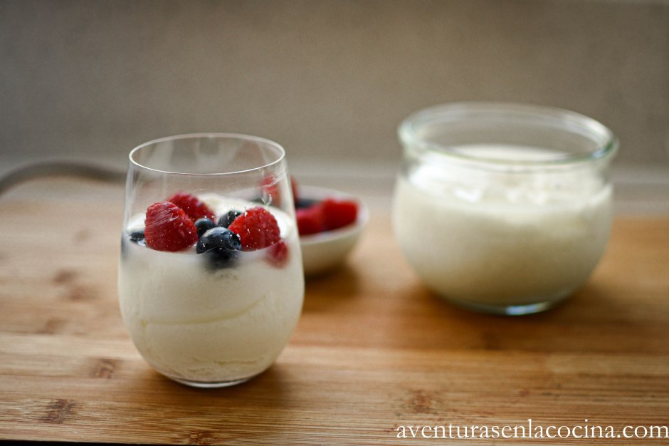 Como hacer yogur