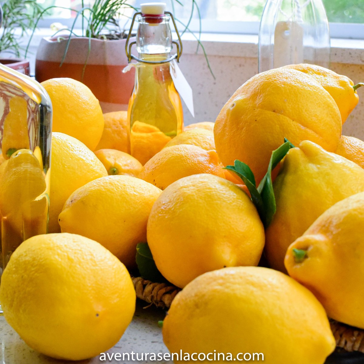 Como hacer Limoncello en&nbsp;casa